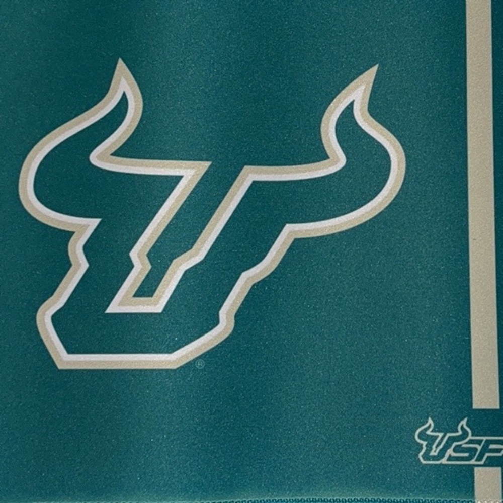 University of South Florida SOAR U COLLEGE wireless Charging Mouse Pad